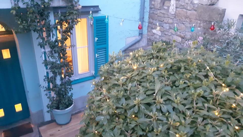 Little Garden Διαμέρισμα Πιράν Εξωτερικό φωτογραφία